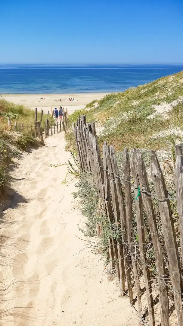 Chemin sablonneux entre dunes menant à l’océan