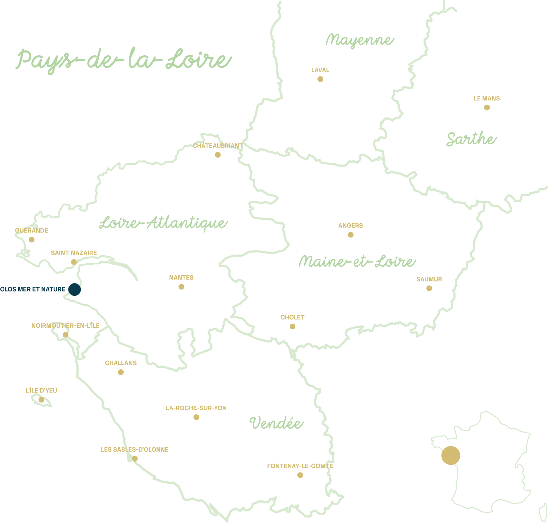 Stylized digital map of France with network connections