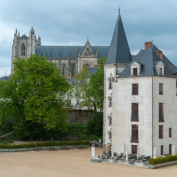 Tour historique blanche devant cathédrale gothique et arbres