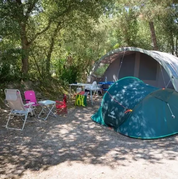 Camping sous les arbres avec deux tentes