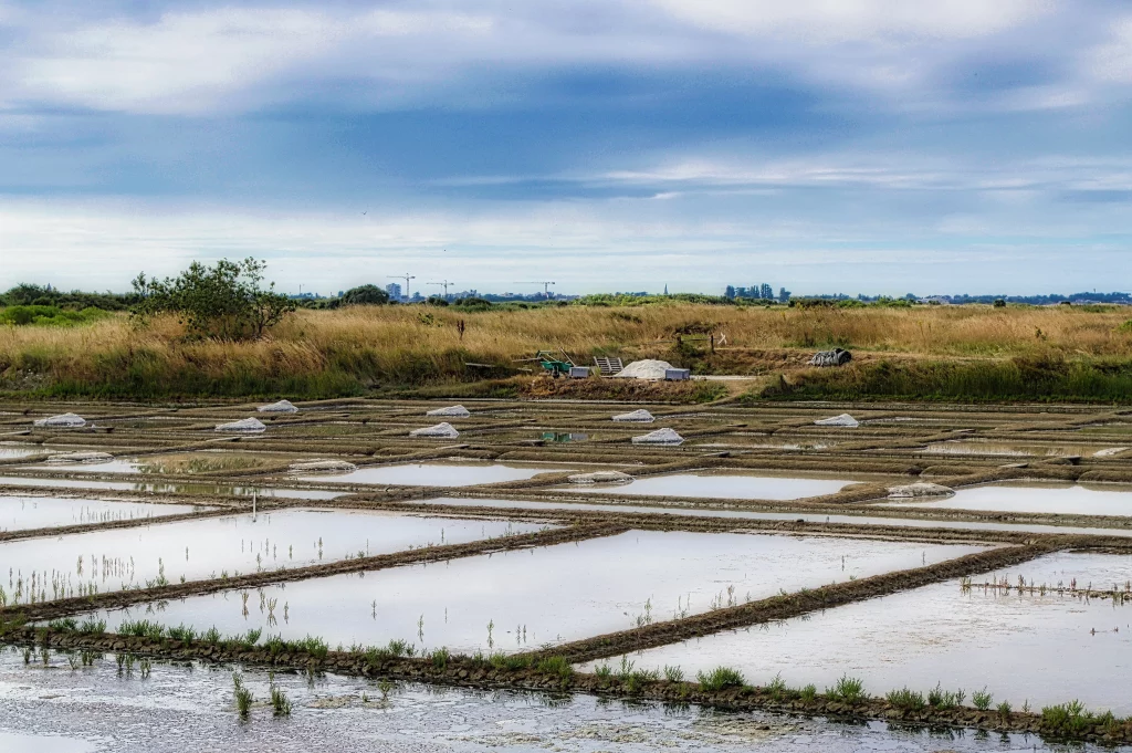 Marais salants avec bassins et tas de sel
