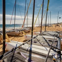 Catamarans alignés sur plage ensoleillée au bord de mer