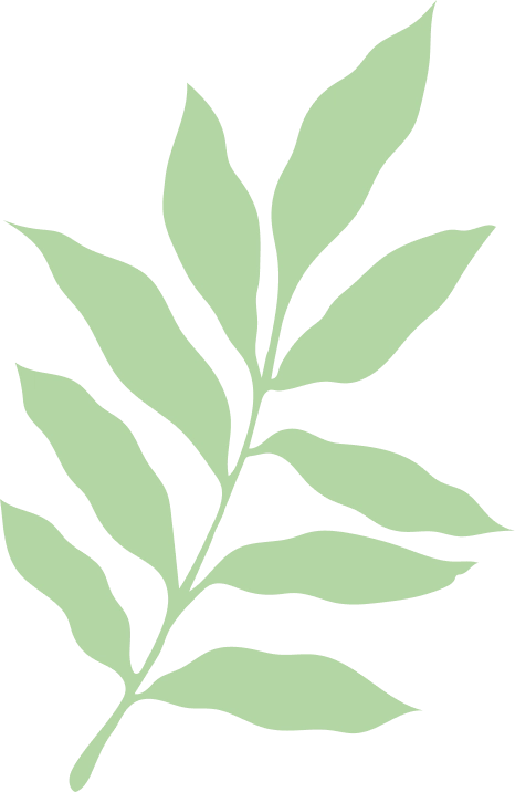 Branche verte stylisée avec feuilles allongées