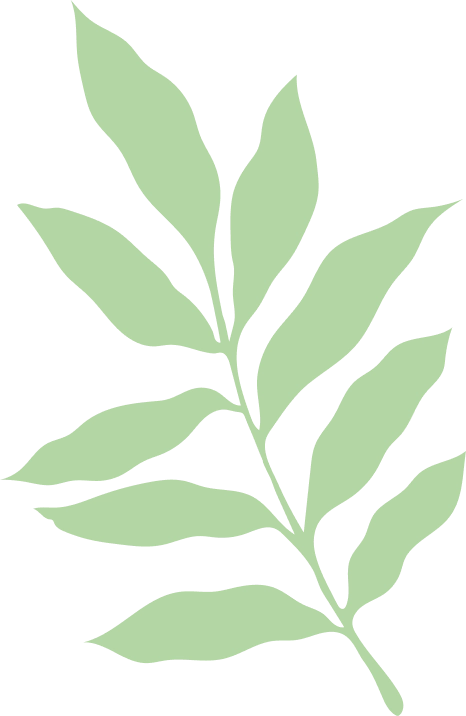Illustration minimaliste de branche verte feuillue