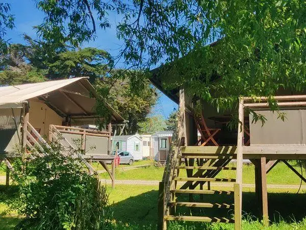 Tentes sur pilotis dans camping verdoyant