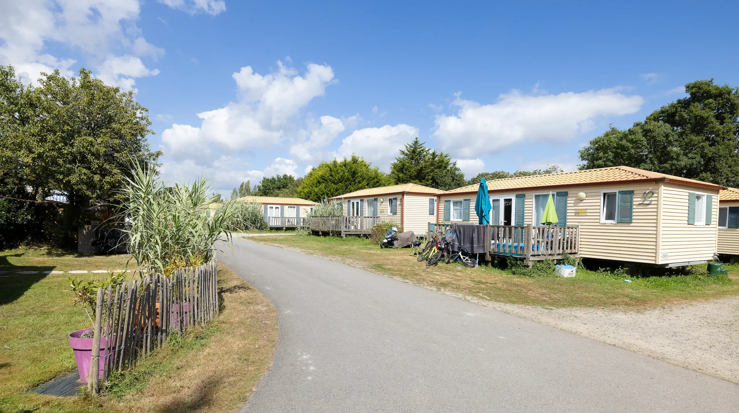 Mobil-homes alignés le long d’une allée ensoleillée
