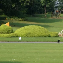 Sculpture végétale géante en forme d’animal allongé