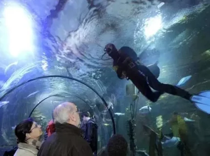 Plongeur nageant au-dessus de visiteurs dans aquarium