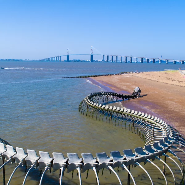 Sculpture serpent squelette géant sur plage