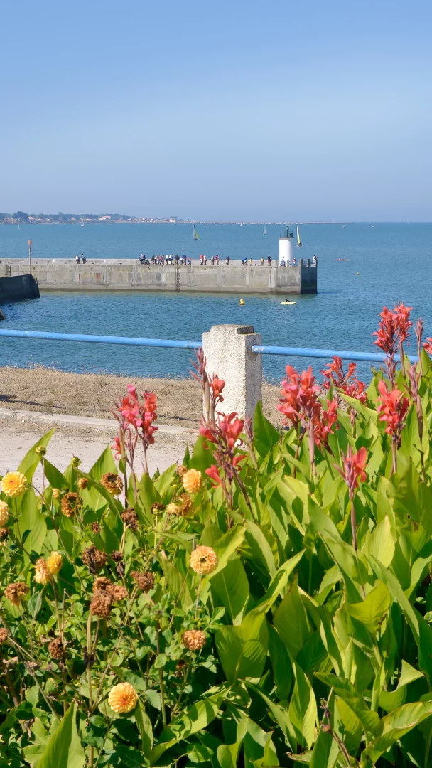 Jetée et fleurs au bord de mer