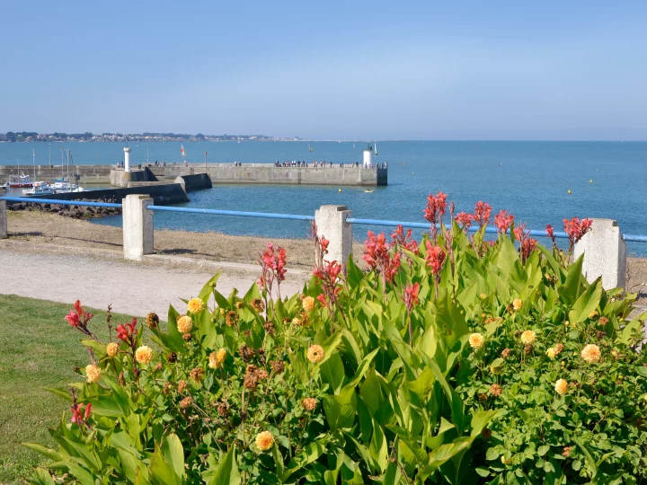 Jetée et fleurs au bord de mer