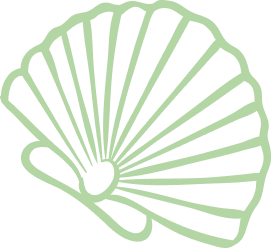 Icône verte de coquillage stylisé minimaliste