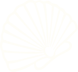 Icône blanche de coquillage stylisé sur fond noir