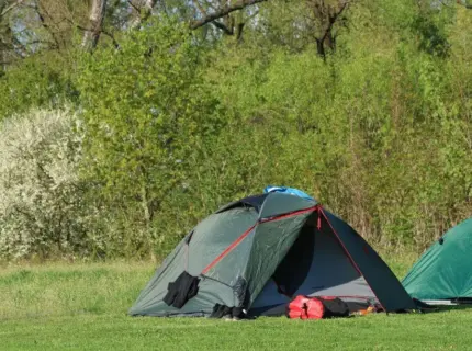 Green camping tent on grassy field near trees