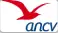 ANCV logo with red checkmark and blue letters