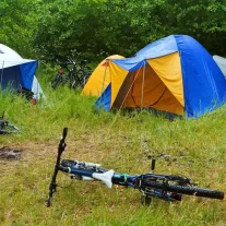 Tentes colorées et vélos dans un camping forestier