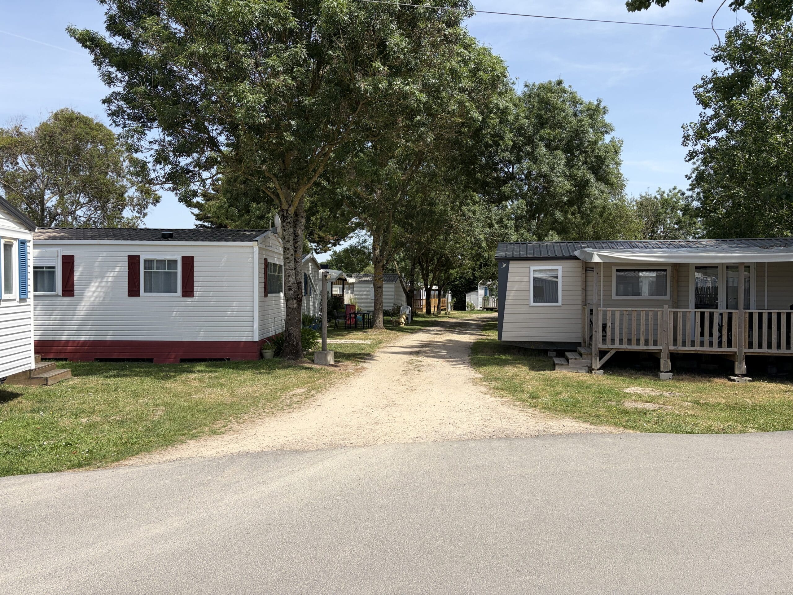 Mobil-homes alignés dans un camping arboré